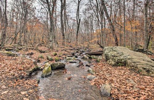 Chestnut Springs House | Wintergreen Resort Cabin Near the Slopes!