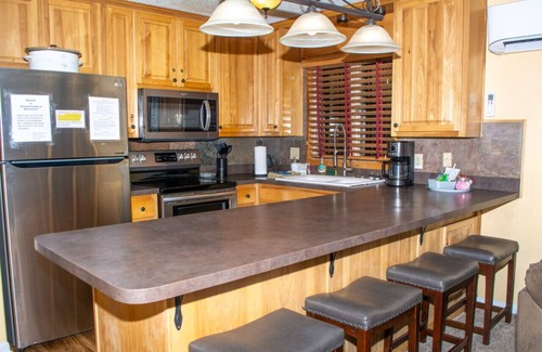 Ghent Condo | Winterplace Ski in Ski Out D101 First Floor