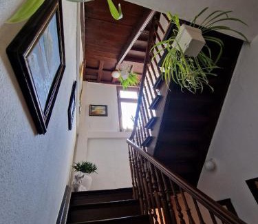 Ediger Apartment | Winzervilla