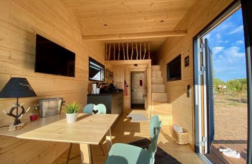 Elsfleth Apartment | WiNZiG Wohnen Tiny House SKADI am Weserstrand