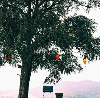 Phop Phra Other | Wisdom Hill Campground