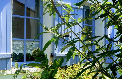 Wissant House | Wissant houses: House - House Of Fisherman.