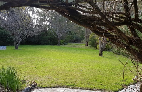 Deepdene Cottage | Wisteria Cottage Augusta