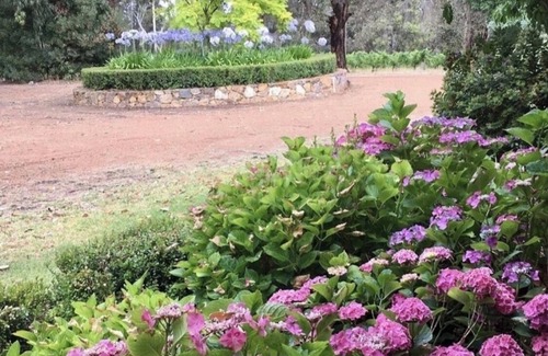 Wilyabrup House | Wisteria Vines Estate