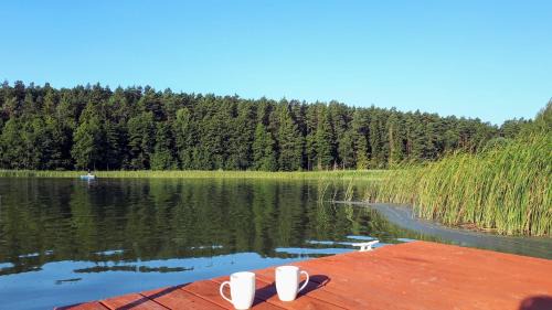 Stawiguda Apartment | Wodamoja - apartamenty nad jeziorem