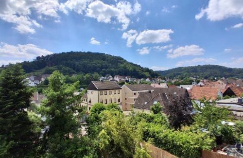 Rodalben Apartment | Wohlfühl-Oase in der Villa "Schöne Aussicht"