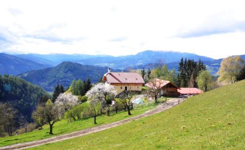 Friesach Apartment | Wohlfühloase Koglerhof