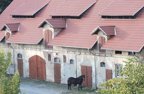 Falkenstein Apartment | Wohnen auf dem Rittergut