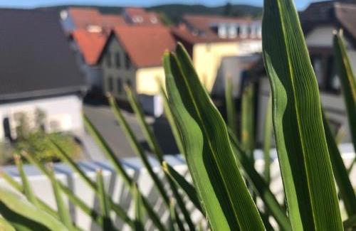Darmstadt-Eberstadt Apartment | Wohnen beim Brotsommelier - Alpenkruste