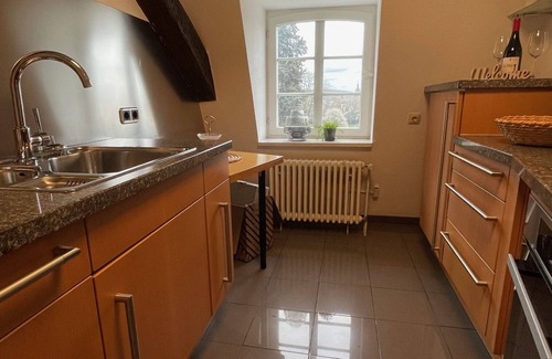 Saarbruecken Apartment | Wohnen mit Stil und Flair am Schloss - Ruhig und Doch Zentral
