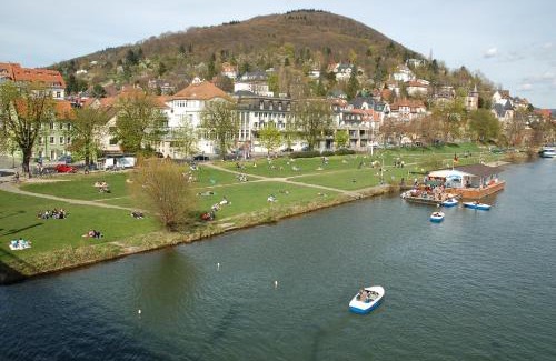 Neuenheim Apartment | Wohnung am Neckar
