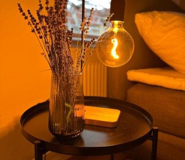 Ostliches Ringgebiet Apartment | Wohnung im Herzen Braunschweigs