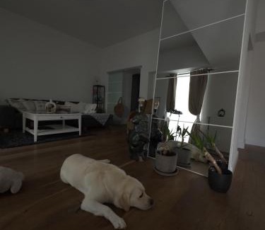 Weststadt Apartment | Wohnung in Zentrum Bonn