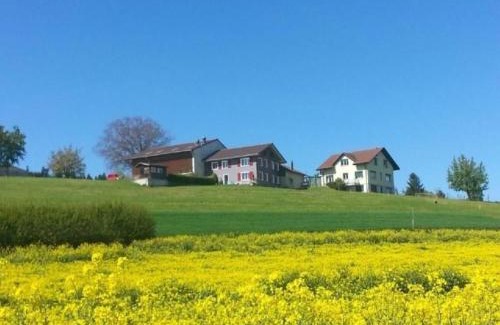 Nottwil Apartment | Wohnung Kohlweid