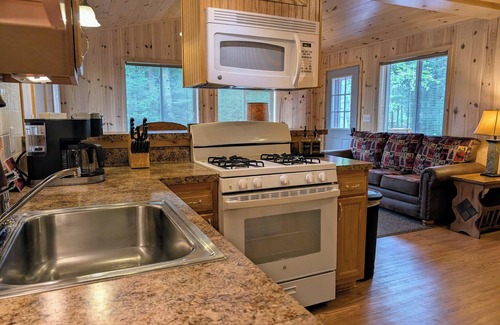 Sayner Cabin | Wolf Point Cabin at White Birch Lake | Firepit, Hammock, Lake Access, Dogs OK