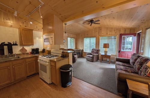 Sayner Cabin | Wolf Point Cabin at White Birch Lake | Firepit, Hammock, Lake Access, Dogs OK