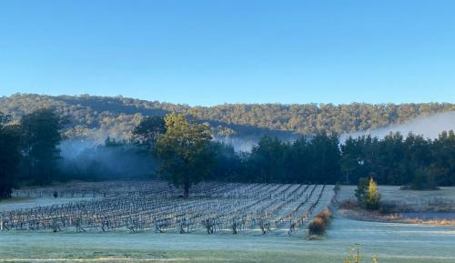 Wollombi House | Wollombi Wines
