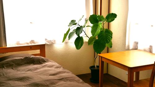 Hagi House | women only ulala guesthouse - Vacation STAY 44819v