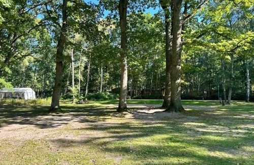 Dranske Other | WoMo Stellplatz am Ferienpark Bernstein