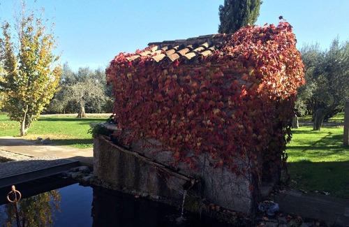 Ronciglione Bed & Breakfast | Wonderful Bed & Breakfast North of Rome "Casino de'Basti"