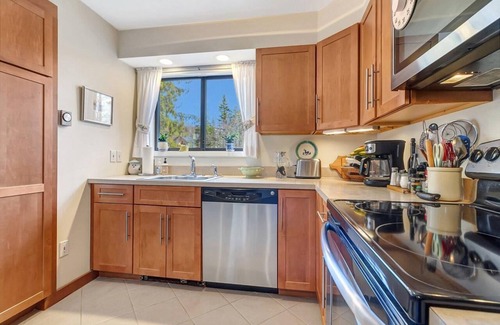 Bromley Mountain House | Wonderful Birches at Bromley!