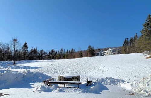 Bromley Mountain House | Wonderful Birches at Bromley!
