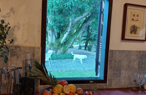 Cachoeiras de Macacu House | Wonderful Country House with Beautiful Lake, Swimming Pool and Wi-Fi