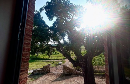 Crocina Villa | Wonderful new villa in Maremma, near Montalcino and Castiglione della Pescaia