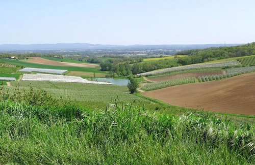 L'Honor-de-Cos Villa | Wonderful private villa with private pool, TV, terrace, pets allowed, panoramic view and parking