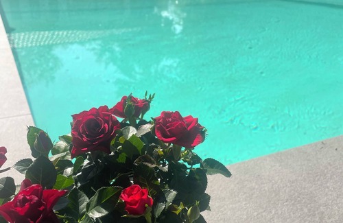 Sciez Villa | Wonderful Property near the Geneva Lake w Pool & Tennis court & Pétanque area!