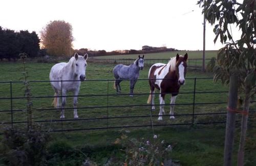 Chislet House | Wonderful rural dwelling- relax or explore Kent!