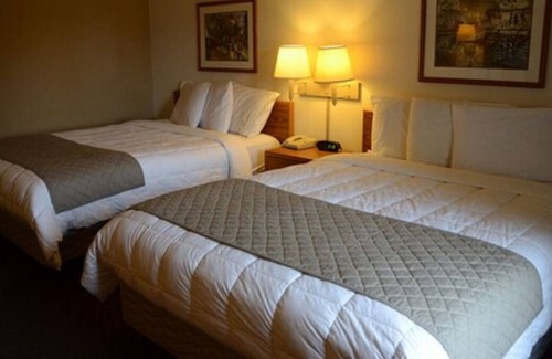 Thorp House | Wonderful Stay! 2 Classy Units, Free Breakfast, Pets Allowed, Near Conway Park