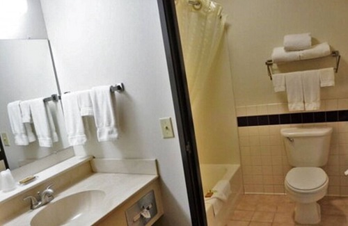 Thorp House | Wonderful Stay! 2 Classy Units, Free Breakfast, Pets Allowed, Near Conway Park