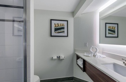 Tropic House | Wonderful Stay! 4 Lovely Units, Pool, Parking