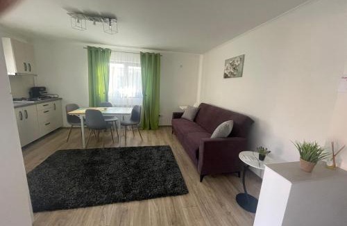 Satu Mare Apartment | Wonderfull Apartments & Rooms