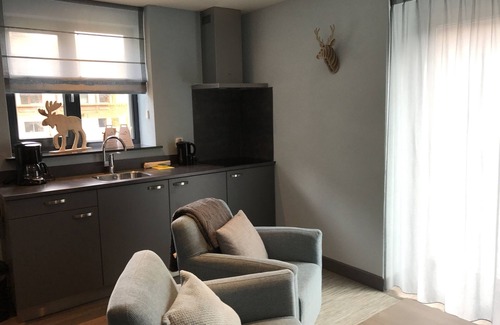 Biberwier Apartment | Wonderfully relax and, in an apartment overlooking the slopes/mountains.