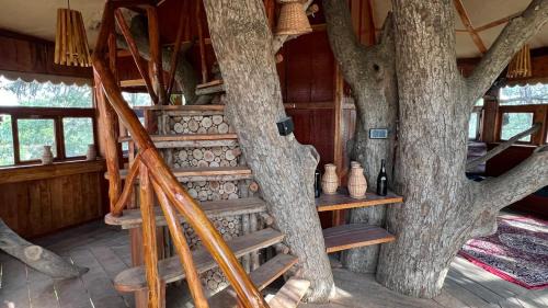 Hosur Villa | Wonderland By Jade - Treehouse Villa