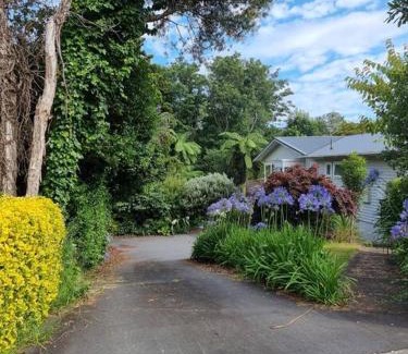New Plymouth House | Wonderland