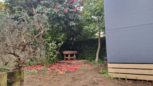 New Plymouth House | Wonderland