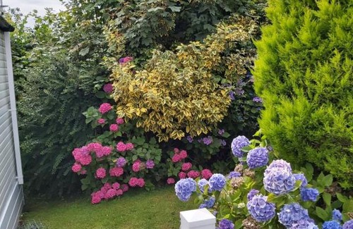 Bridport Other | Wood Farm Holiday Park