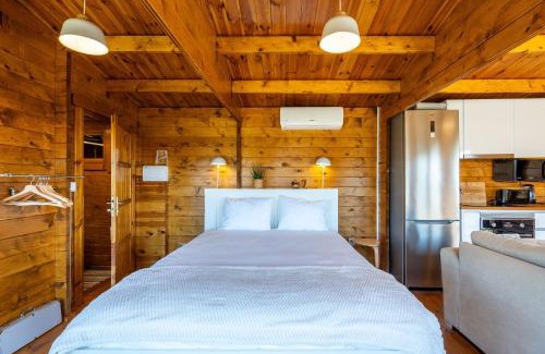 Castelo de Paiva House | Wood House Amazing View Douro