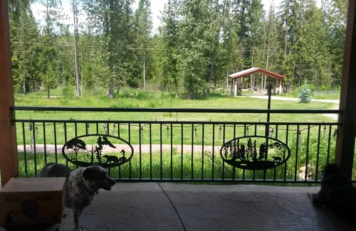 Sandpoint Apartment | Wooded, peaceful setting 15 minutes from the Lake!