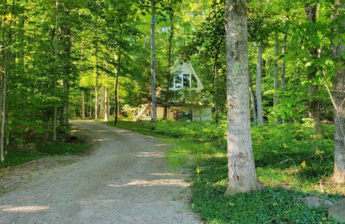 Boyne City Ski Chalet | Wooded setting with view of Walloon Lake