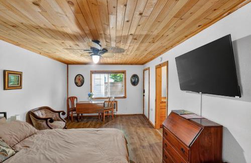 Cobb House | Wooded Studio Near Clear Lake cabin