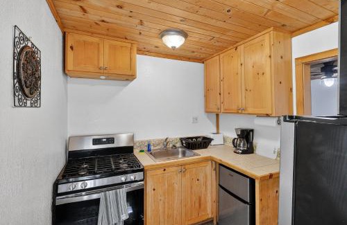 Cobb House | Wooded Studio Near Clear Lake cabin
