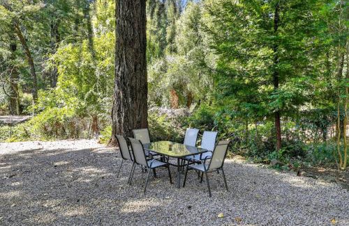 Cobb House | Wooded Studio Near Clear Lake cabin