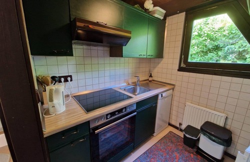 Machtlos House | Wooden bungalow with a terrace, in a wooded area