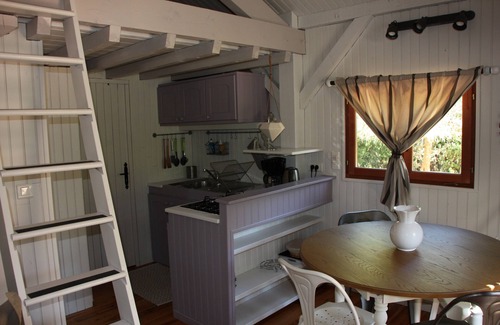 Le Puy-Sainte-Reparade Ski Chalet | Wooden chalet in the middle of the pines