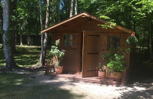 Noisy-sur-Ecole Ski Chalet | Wooden chalet in the middle of a wooded park