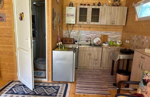 Vedzebi Apartment | Wooden Cottage Near Tianeti